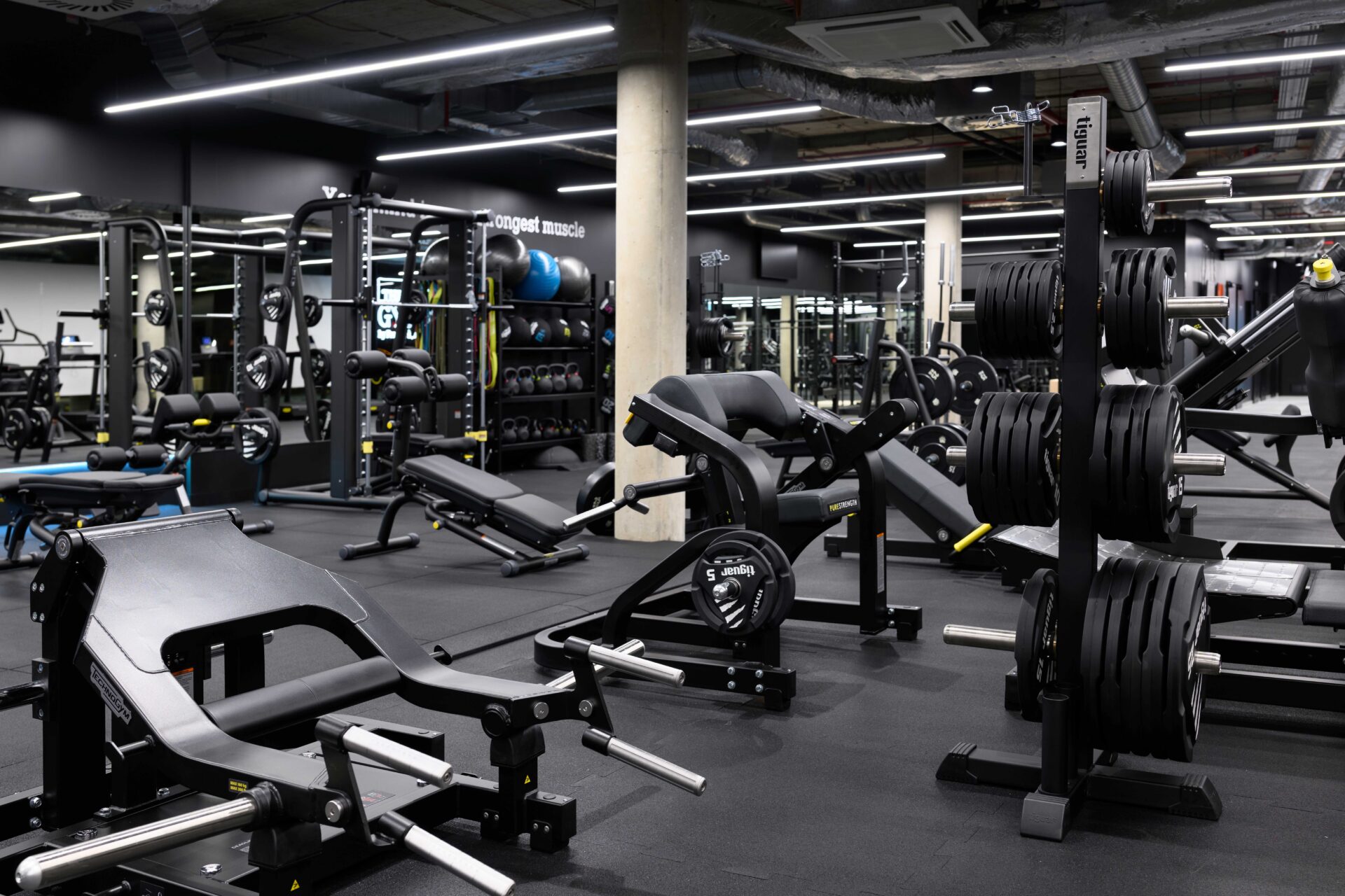Sport