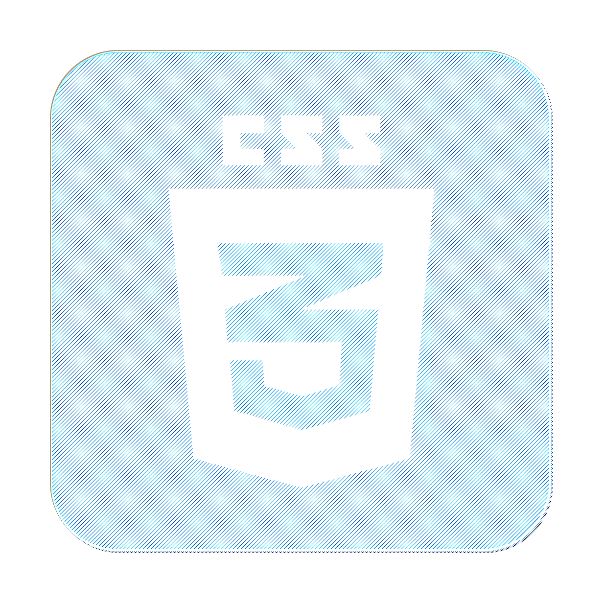 CSS